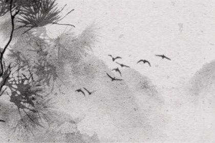 六道轮回是谁创造的 六道轮回与空间的关系 六道轮回是谁创造的 六道轮回与空间的关系