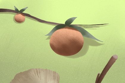 梅花易数解析 梅花易数取卦解卦的方法 梅花易数解析 梅花易数取卦解卦的方法