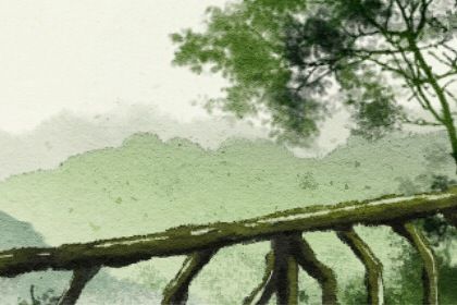 己巳日柱男命一生详解 婚姻运势怎么样 己巳日柱男命一生详解 婚姻运势怎么样