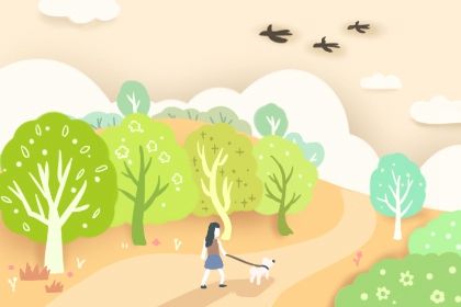 八字排盘是什么意思 如何解析 八字排盘是什么意思 如何解析