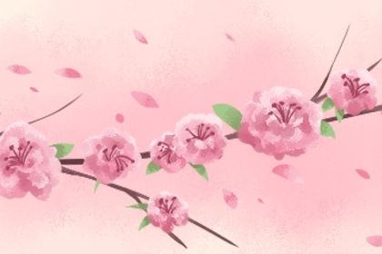 2024桃花运好的星座 谁有可能龙年脱单 2024桃花运好的星座 谁有可能龙年脱单