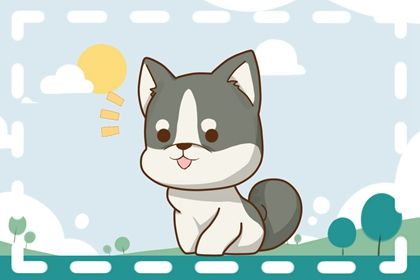 2024年属狗人的全年运势 属狗人2024运势怎么样 2024年属狗人的全年运势 属狗人2024运势怎么样