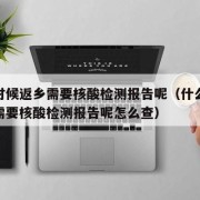 什么时候返乡需要核酸检测报告呢（什么时候返乡需要核酸检测报告呢怎么查）