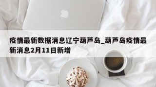 疫情最新数据消息辽宁葫芦岛_葫芦岛疫情最新消息2月11日新增