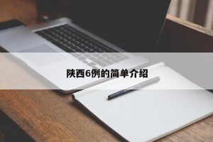 陕西6例的简单介绍