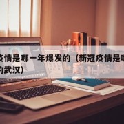 新冠疫情是哪一年爆发的（新冠疫情是哪一年爆发的武汉）