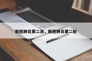 新冠肺炎第二波，新冠肺炎第二轮