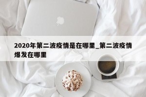 2020年第二波疫情是在哪里_第二波疫情爆发在哪里