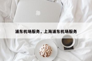 浦东机场服务，上海浦东机场服务