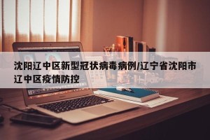 沈阳辽中区新型冠状病毒病例/辽宁省沈阳市辽中区疫情防控
